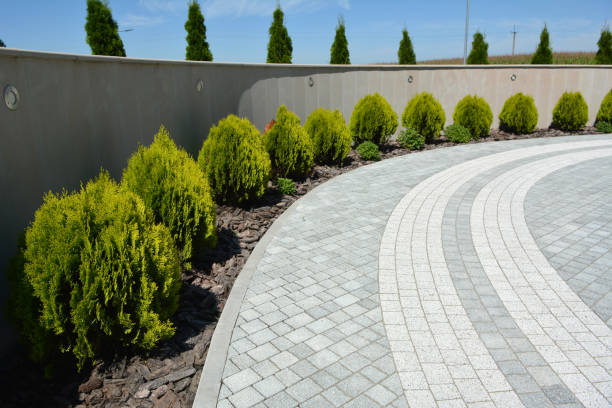 Best Decorative Driveway Pavers  in Edgewater, CO