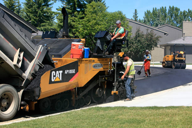 Best Custom Driveway Pavers  in Edgewater, CO